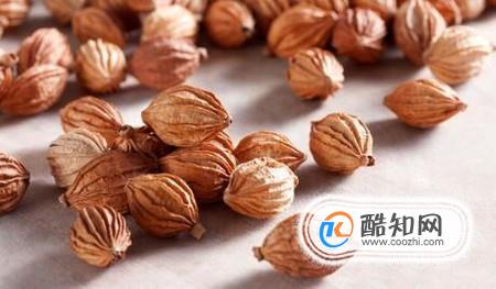 砂仁的功效及选购