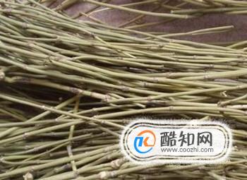 蜜麻黄的功效与作用