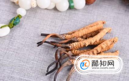 身体虚吃什么补身体？
