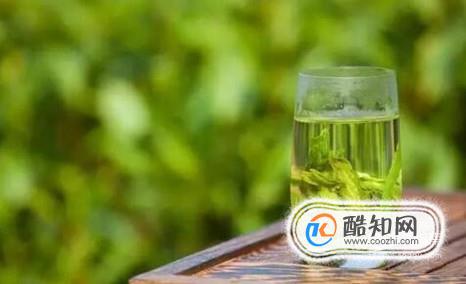 一年四季适合喝什么茶？