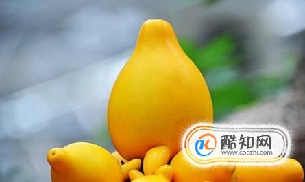 黄金果的功效与价值