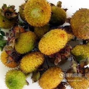 刺梨干怎么泡水