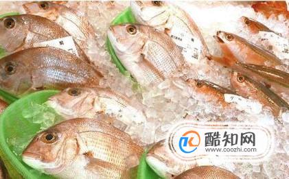 鱼的营养价值及功效