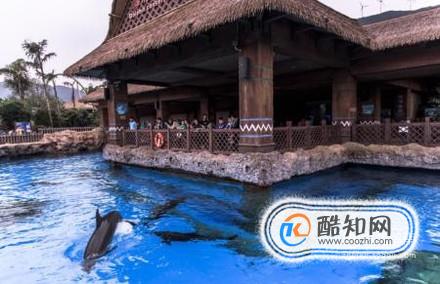 珠海长隆自助游攻略