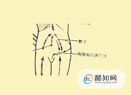 腹股沟排毒不畅的危害有哪些？该怎样正确排毒？