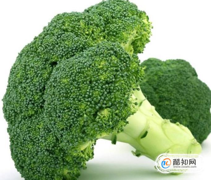 保护眼睛吃哪些食物 吃什么食物能“养眼”