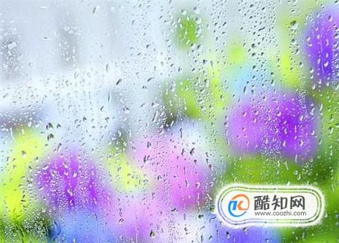 放假下雨去哪玩
