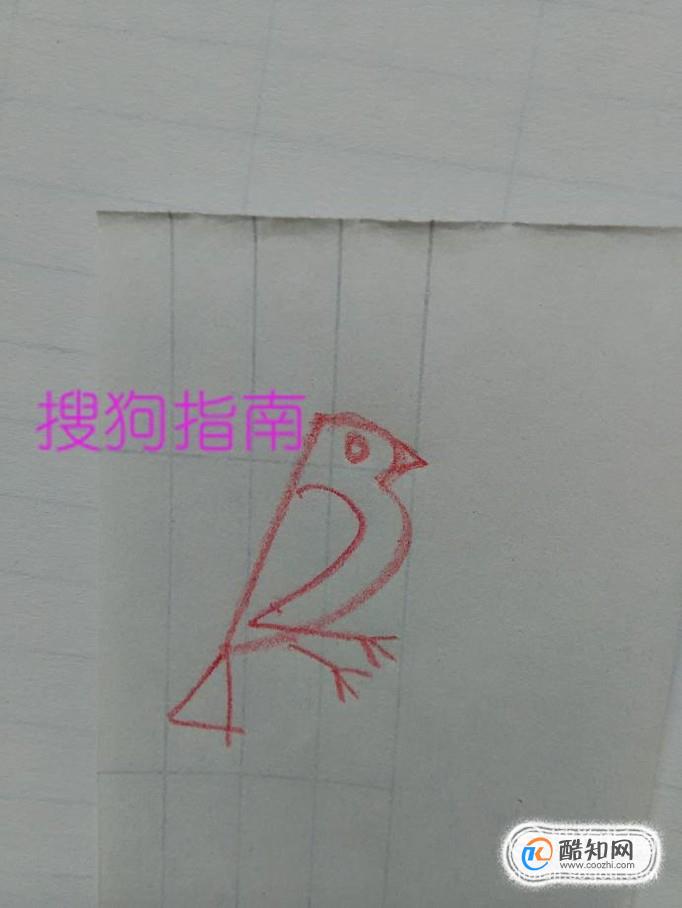 如何利用数字画小鸟