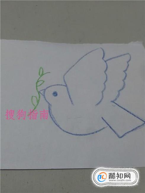 如何画和平鸽简笔画