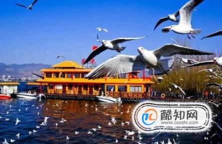 昆明旅游攻略一日游