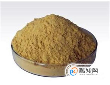 酸枣仁粉正确泡水方法