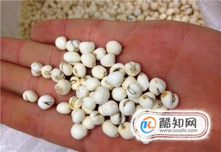 川贝怎么吃效果好