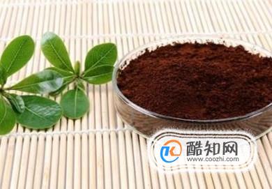 关于破壁灵芝孢子粉的相关