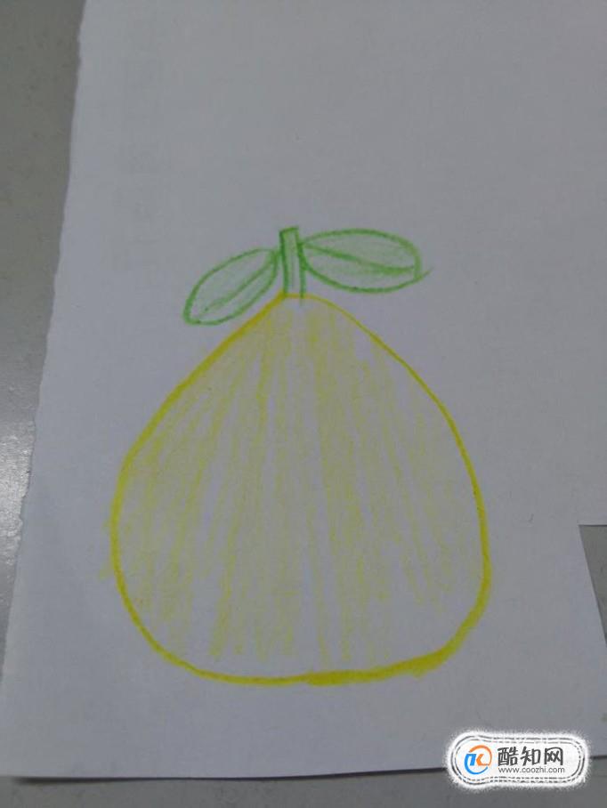 简笔画柚子怎么画