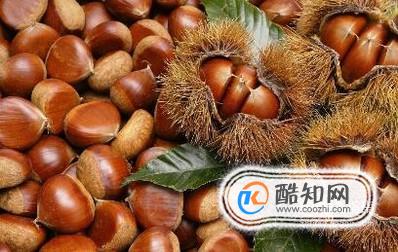 板栗怎么吃最补肾
