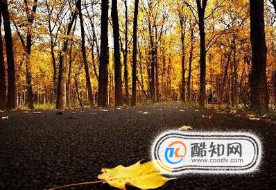 秋季健康生活小常识