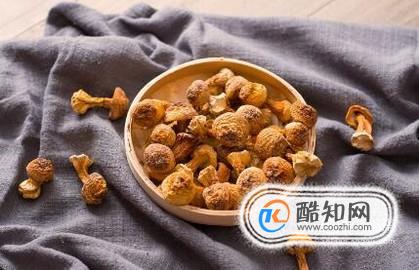 姬松茸和松茸的区别