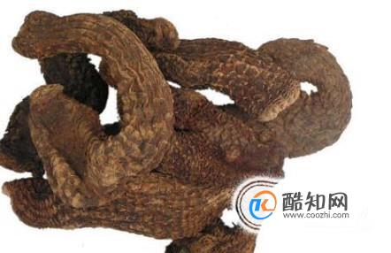 肉苁蓉的食用方法