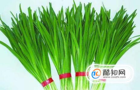 韭菜不能和什么一起吃