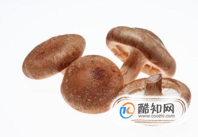 香菇不能和什么一起吃？