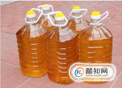 选择吃什么油最健康