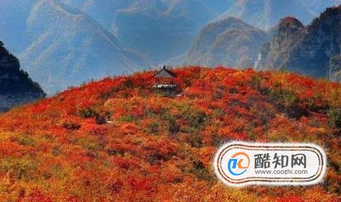 河南焦作靳家岭红叶自由行攻略