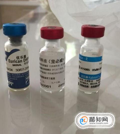 狂犬疫苗的适用范围有哪些？