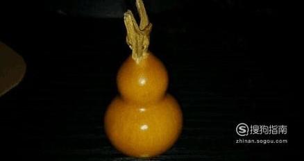 挑选文玩小葫芦的方法