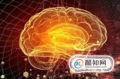 吃什么能让孩子变聪明?