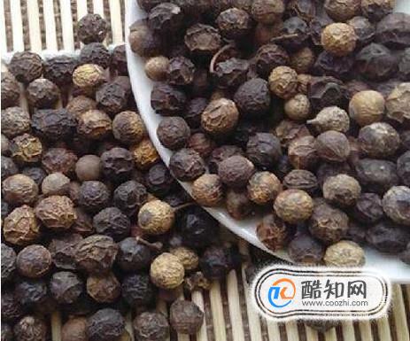 樟树子有哪些用处？