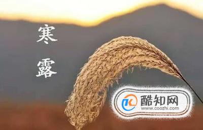 寒露养生吃什么？寒露时节的注意事项