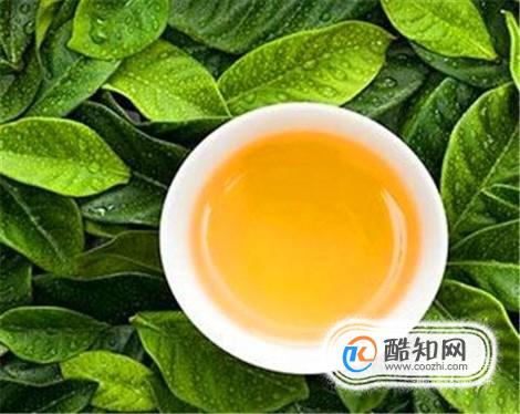 番石榴叶泡水喝的禁忌