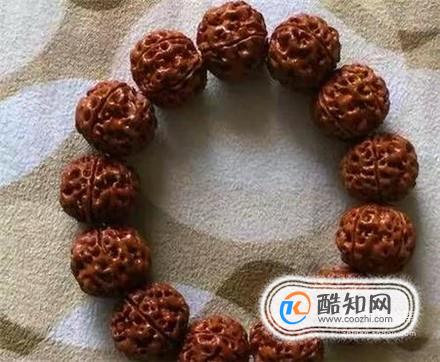 大金刚菩提裂了怎么办