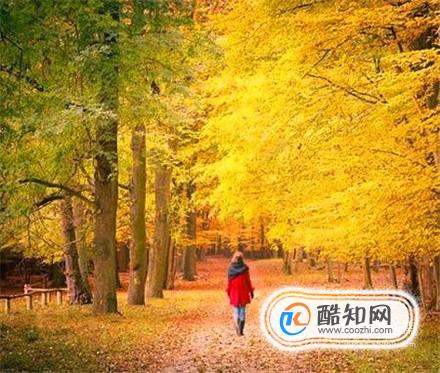 10月旅游景点大全