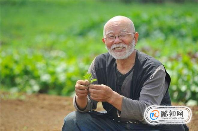 退休之后可以做哪些事情