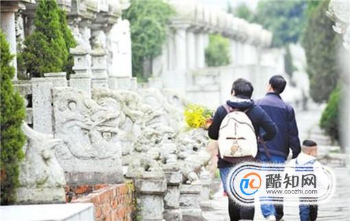 清明扫墓要带哪些东西