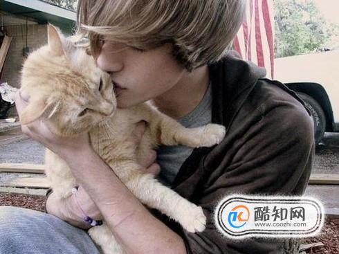 猫对人表示好感的行为有哪些？