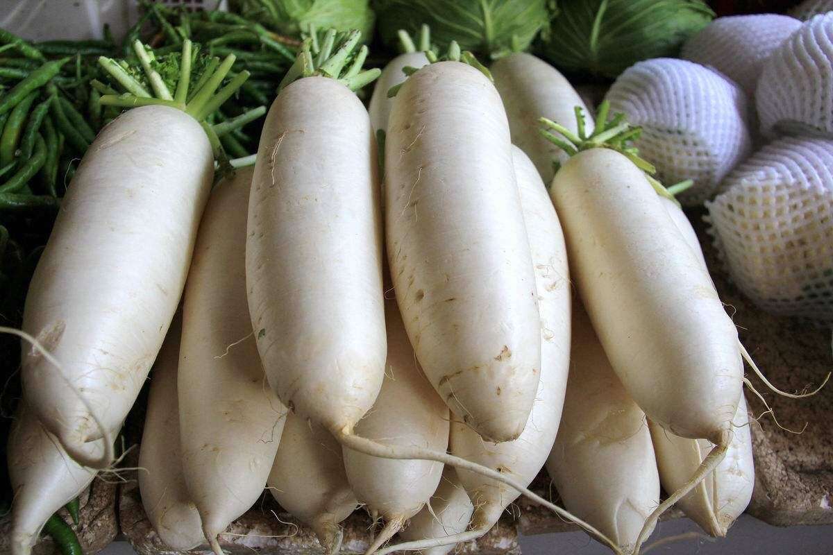 吃白萝卜的好处和注意事项，能预防结肠癌吗？