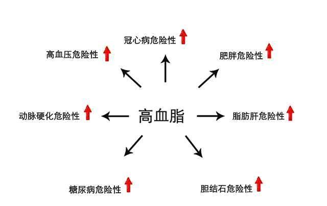 血脂高如何调理？怎么有效降低高血脂