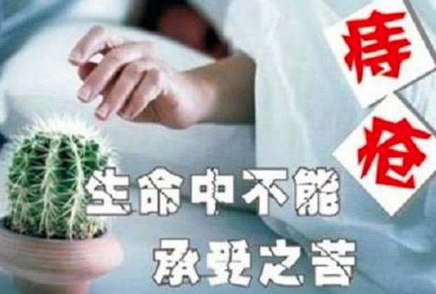 得了痔疮吃什么食物最好恢复快