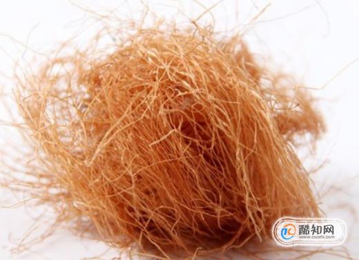 玉米须的功效作用禁忌