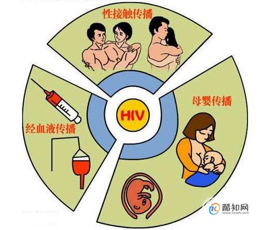 艾滋病的传播途径包括哪些，哪些行为不会感染艾滋病