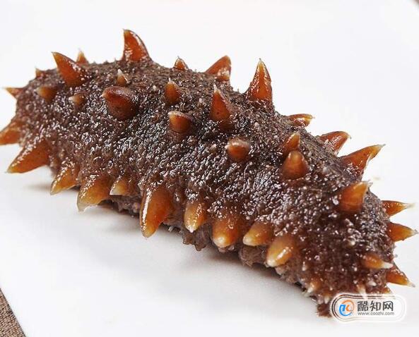 海参适合什么样的人吃，海参的食用方法