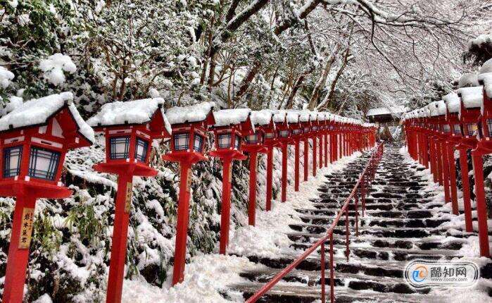 冬天去日本哪里玩好,冬天去日本哪里看雪