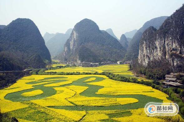 11月去贵州有什么好玩的,去贵州旅游注意事项