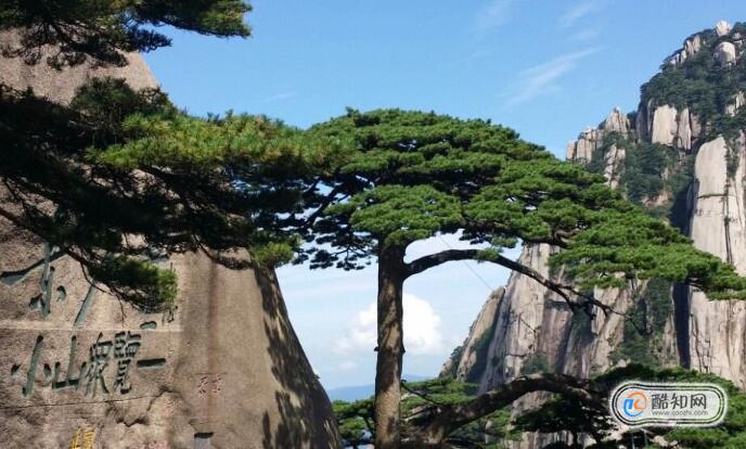 秋天黄山哪里好玩，秋天去黄山的最佳时间