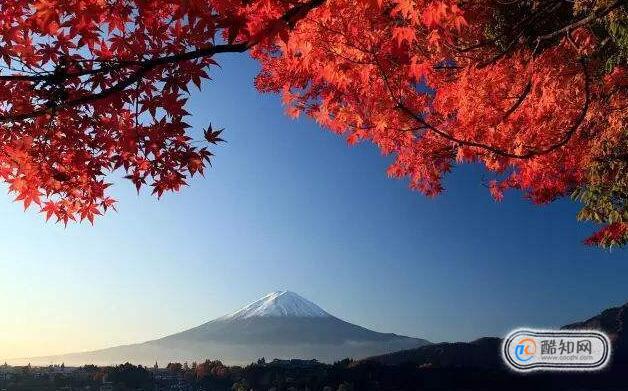 11月份去日本要带什么，11月去日本哪里好玩