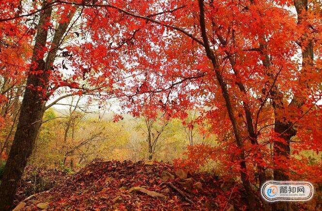 10月中旬旅游适合去哪里玩