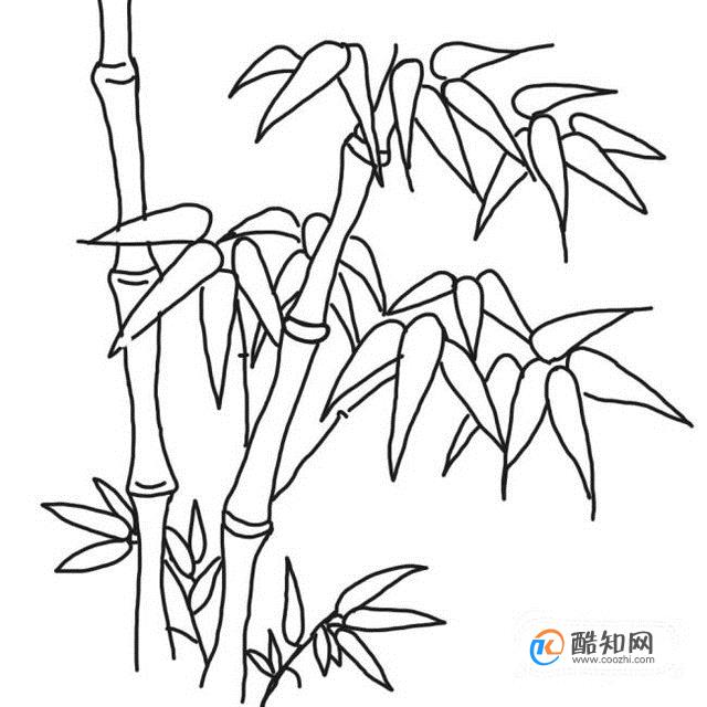 怎样画漂亮竹子