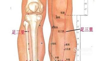 如何准确找足三里？
